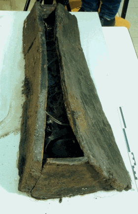 Fig.8: Le cercueil de la tombe T.69: les liens vgtaux dassemblage des planches sont parfaitement conservs